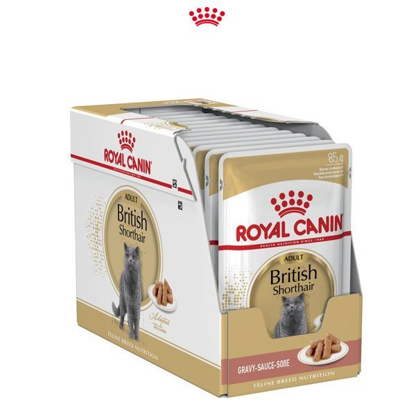 پوچ گربه بریتیش رویال کنین