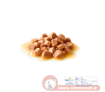 پوچ گربه رویال کنین بچه گربه آماده مصرف