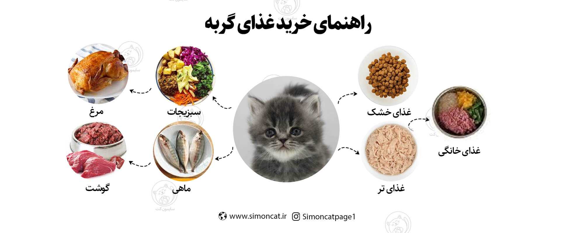 گربه ها چی می‌خورند؟