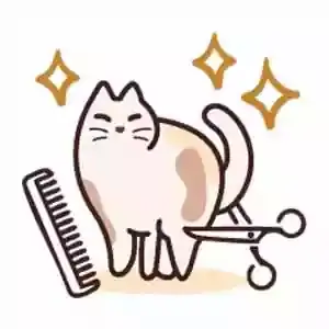 اصلاح و آرایشگاه حیوانات خانگی