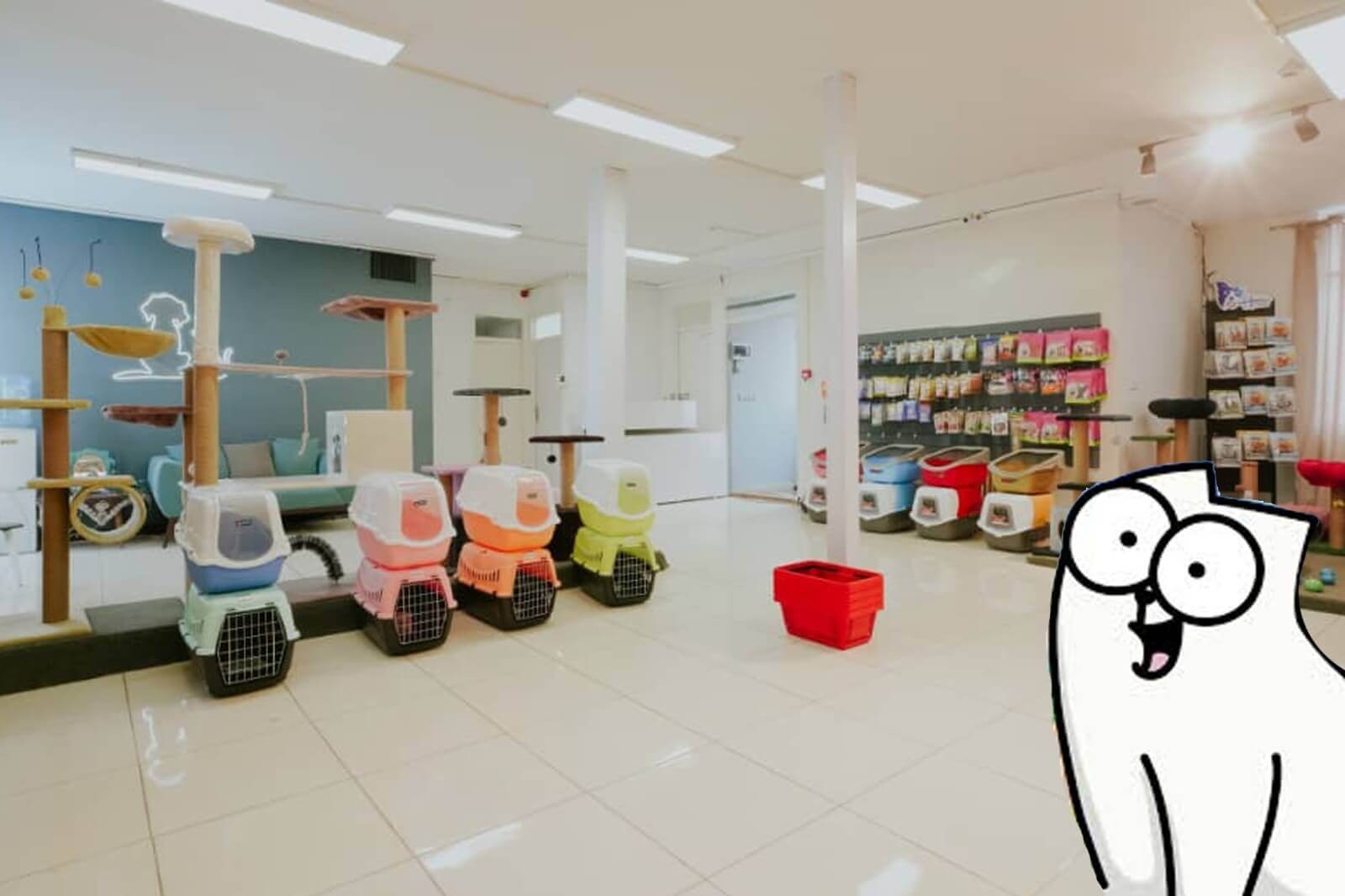 بنر ابتدای سایت پت شاپ