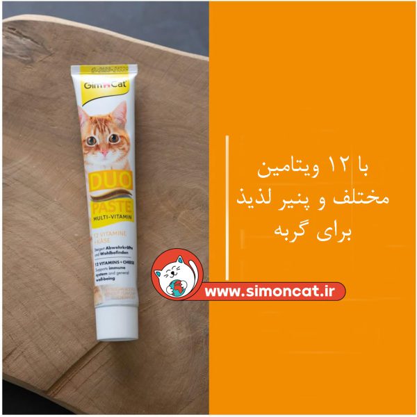 تصویر مولتی ویتامین گربه جیم کت به همراه پنیر