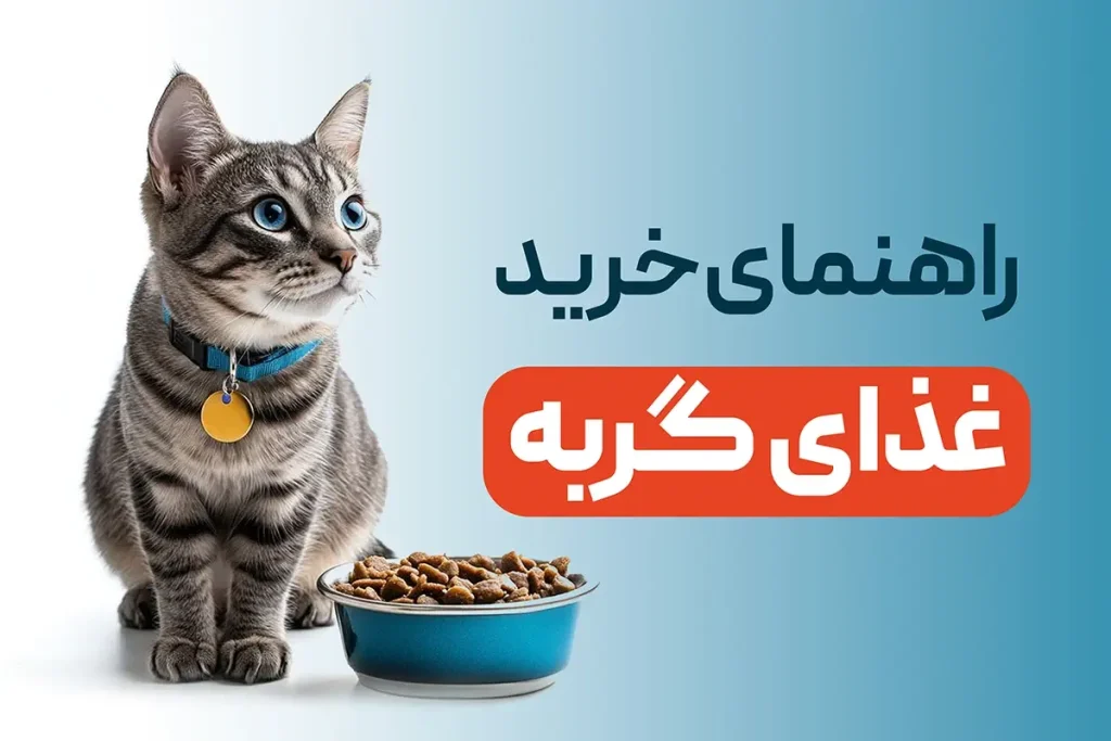 راهنمای خرید غذای گربه