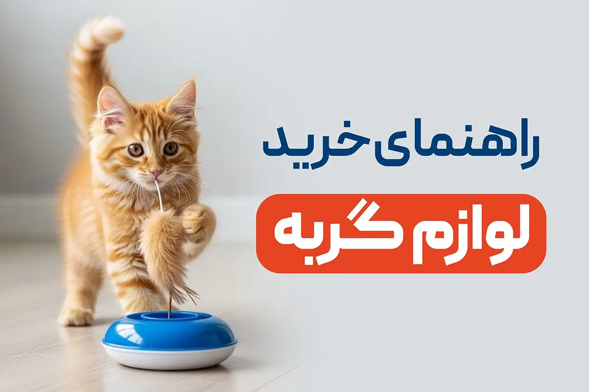 راهنمای خرید لوازم گربه