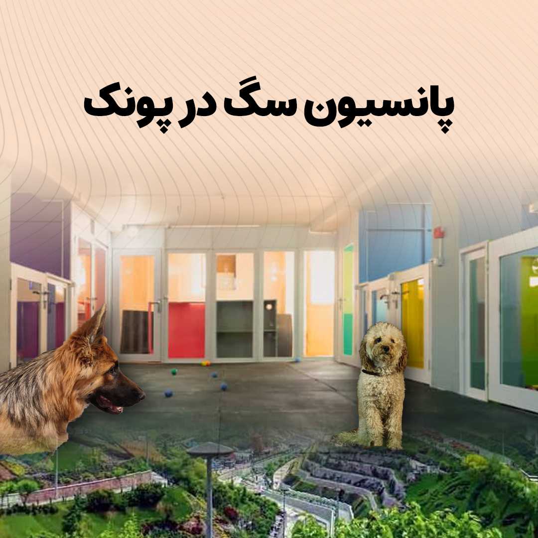 عکس پانسیون سگ در پونک تهران