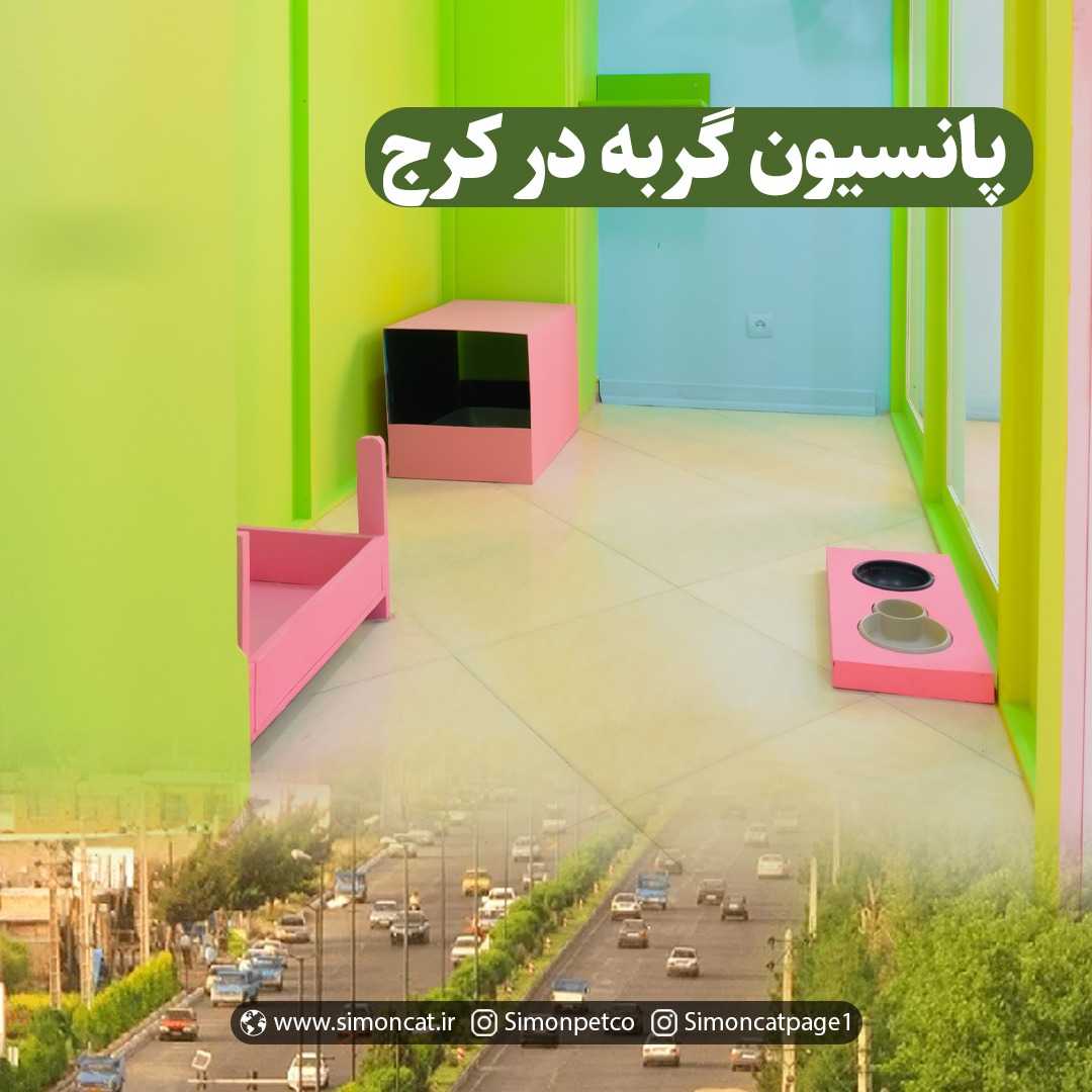 عکس پانسیون گربه در کرج