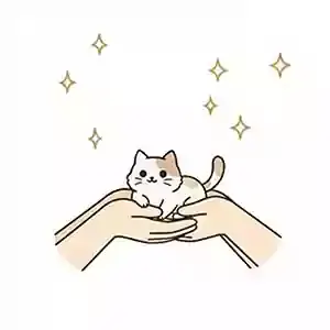 فروش و خرید گربه