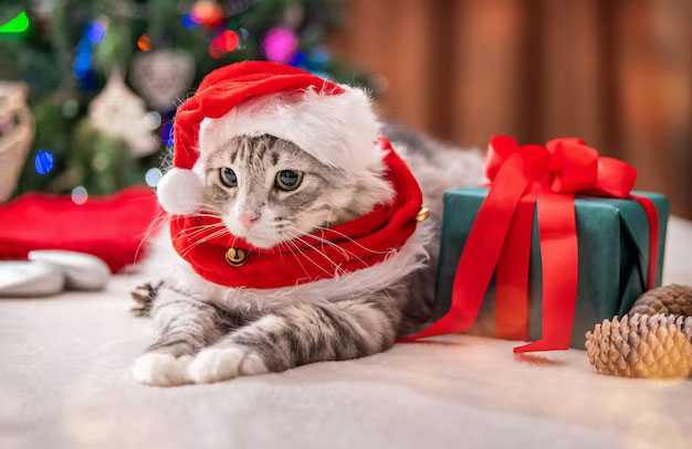 همراه با گربه عزیزتان تعطیلاتی ایمن و رویایی را تجربه کنید