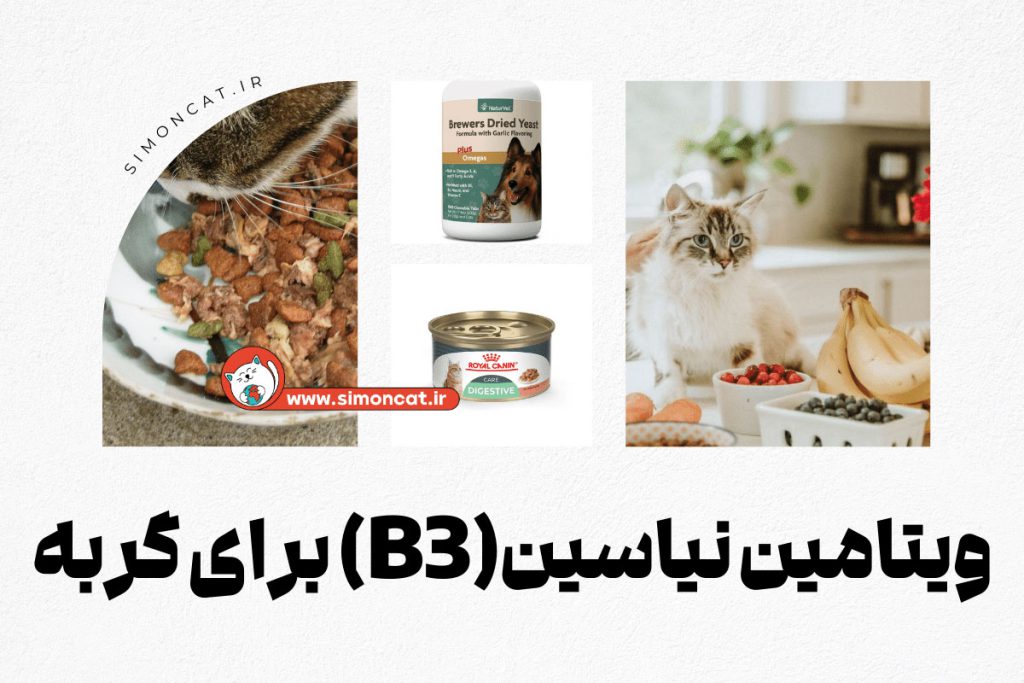 ویتامین نیاسین(b3) برای گربه