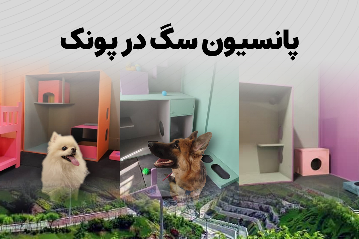 پانسیون سگ در پونک تهران