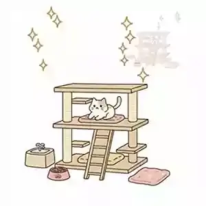 پانسیون گربه