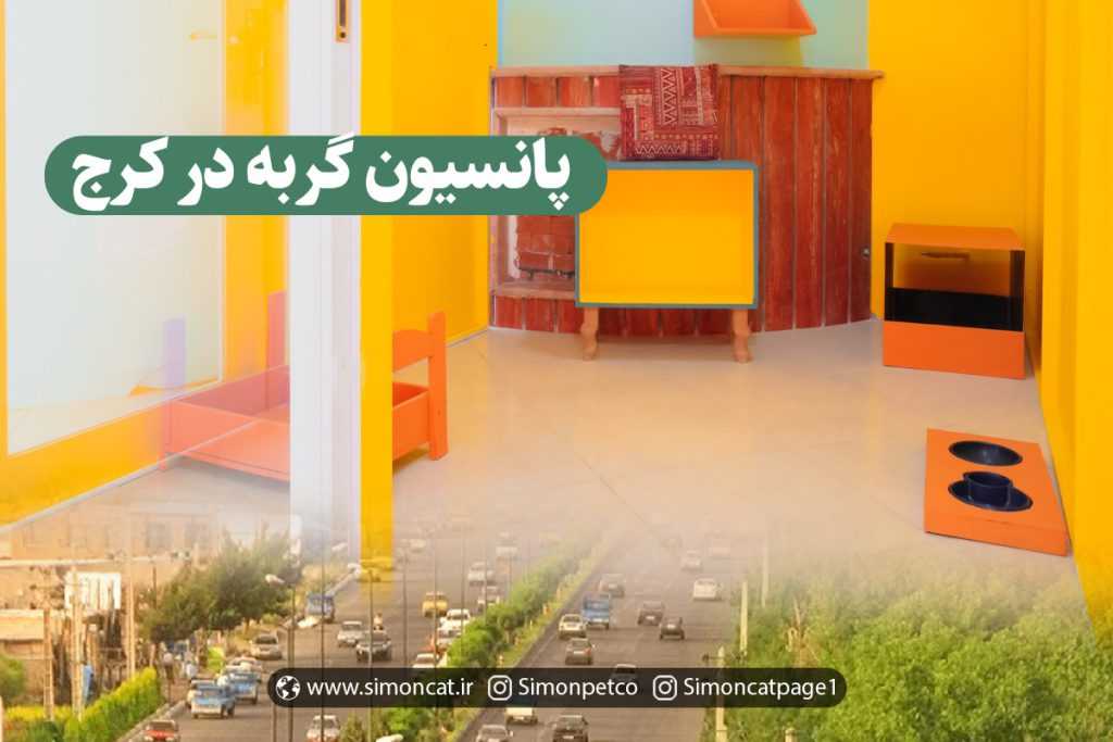 پانسیون گربه در کرج