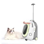 باکس و کیف گربه ترولی لاکچری