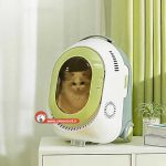 تصویر باکس گربه ترولی لاکچری