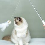 جذب گربه با لیزر و اسباب بازی گربه مدل 001