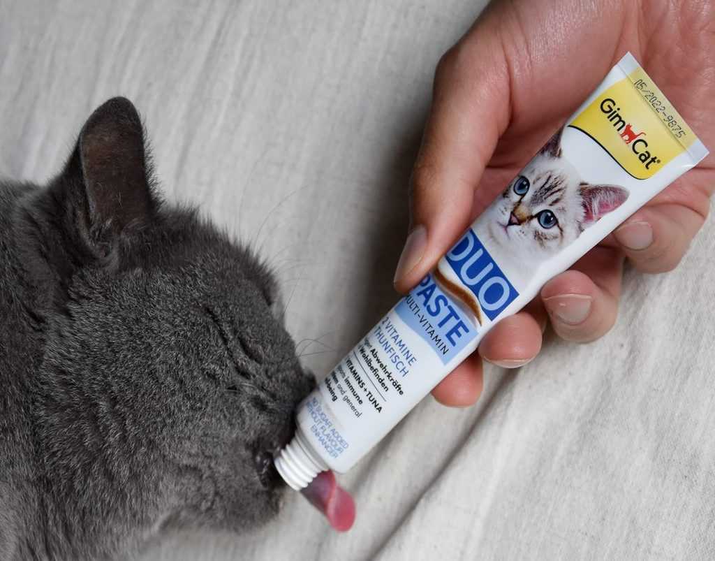 طریقه مصرف مولتی ویتامین گربه Gim Cat با طعم ماهی