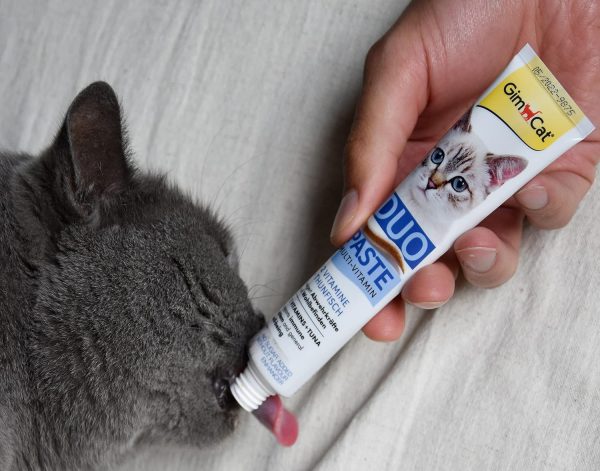 طریقه مصرف مولتی ویتامین گربه Gim Cat با طعم ماهی