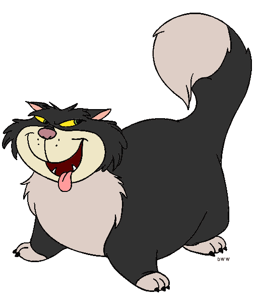 عکس گربه سیندرلا