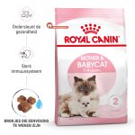 غذای خشک گربه رویال کنین