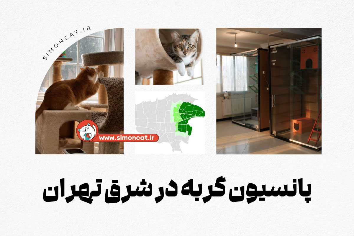 پانسیون گربه در شرق تهران
