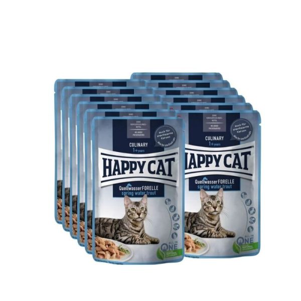 پوچ گربه عقیم شده Happy Cat ماهی قزل آلا