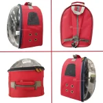 کوله پشتی اکو قرمز