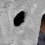 بافت اسکرچر گربه مدل گردو