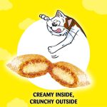 تشویقی گربه دریمیز با طعم مرغ