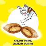 تصویر تشویقی گربه Dreamies طعم ماهی سالمون