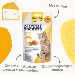 تصویر تشویقی گربه Gim Cat پنیری