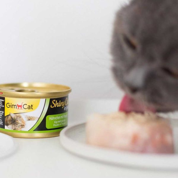 تصویر غذای کنسرو گربه جیم کت مرغ با پاپایا