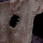 جنس اسکرچر گربه مدل گردو