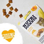 عکس تشویقی گربه Gim Cat پنیری