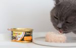 عکس غذای کنسرو گربه Gim Cat ماهی با مرغ