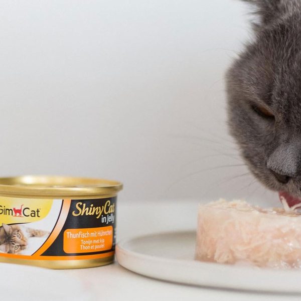 عکس غذای کنسرو گربه Gim Cat ماهی با مرغ