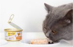 عکس غذای کنسرو گربه Gim Cat مدل مرغ و هویج