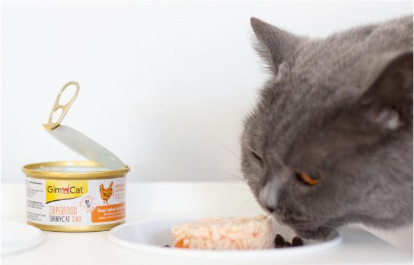 عکس غذای کنسرو گربه Gim Cat مدل مرغ و هویج
