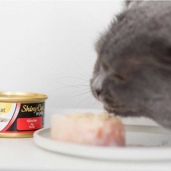 عکس غذای کنسرو گربه جیم کت مدل مرغ