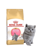غذا خشک kitten نژاد بریتیش شورت هیر royal canin