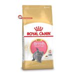 غذای خشک بچه گربه نژاد بریتیش شورت هیر رویال کنین
