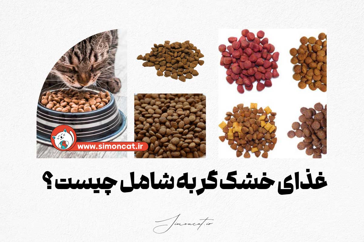 غذای خشک گربه شامل چیست؟