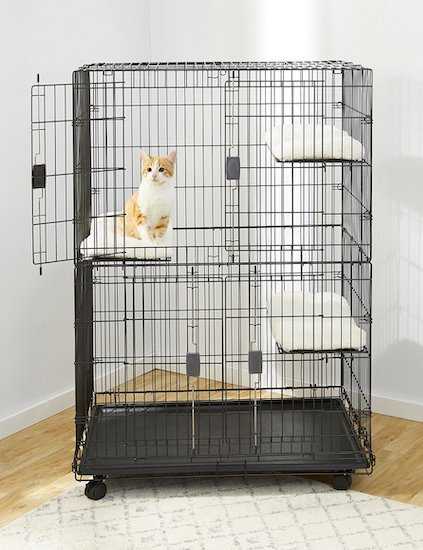 نگهداری گربه در قفس درست نیست!