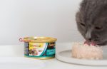 کنسرو غذای گربه Gim Cat مدل مرغ با میگو