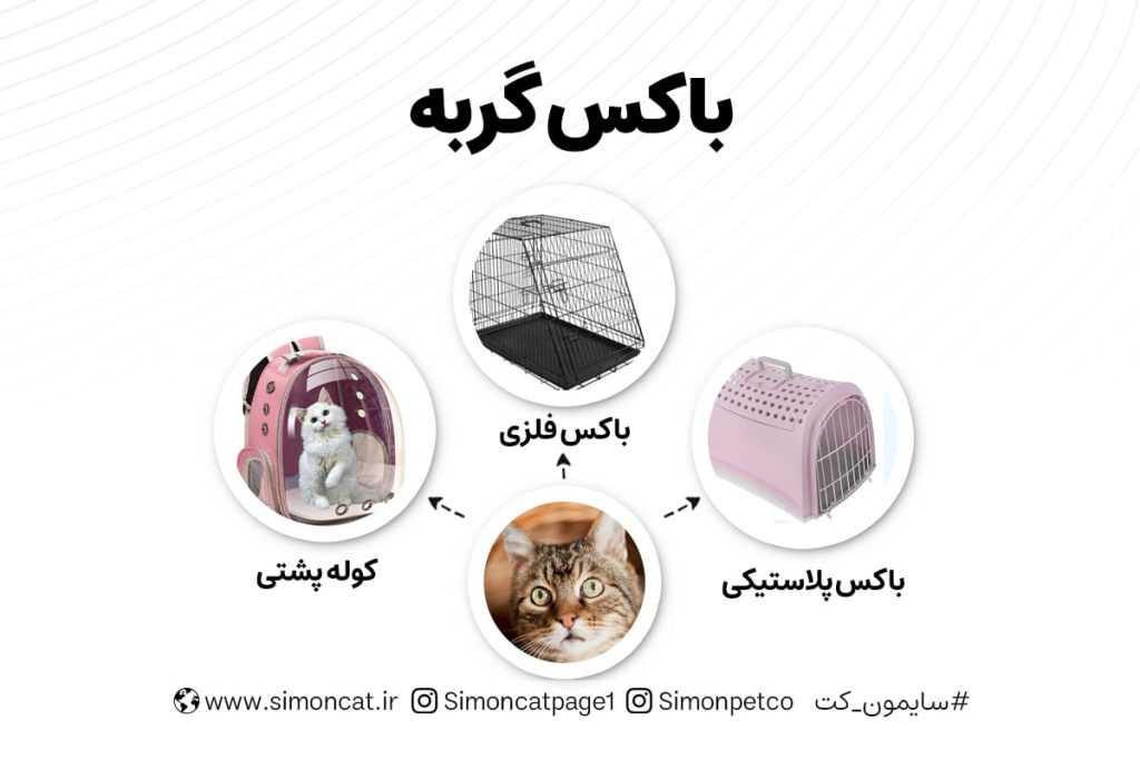 باکس گربه