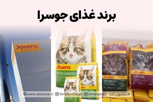 برند غذای جوسرا