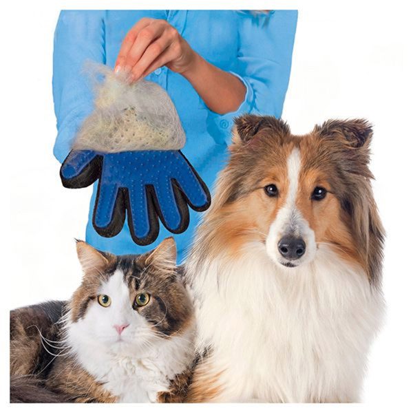 تصویر دستکش نظافت و ماساژور گربه و سگ True Touch