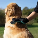 شانه زدن سگ با دستکش پرزگیر