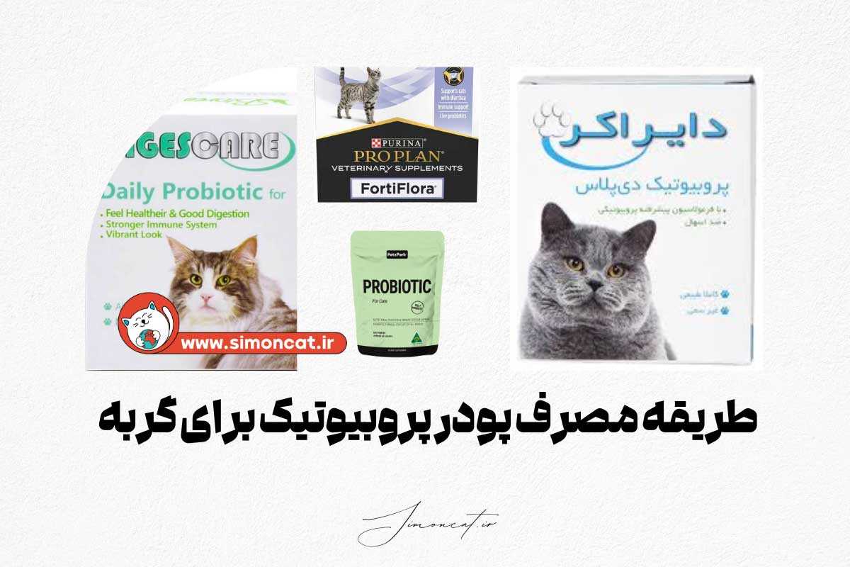 طریقه مصرف پودر پروبیوتیک برای گربه