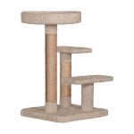 عکس اسکرچر گربه ژوانیت طرح بلورک