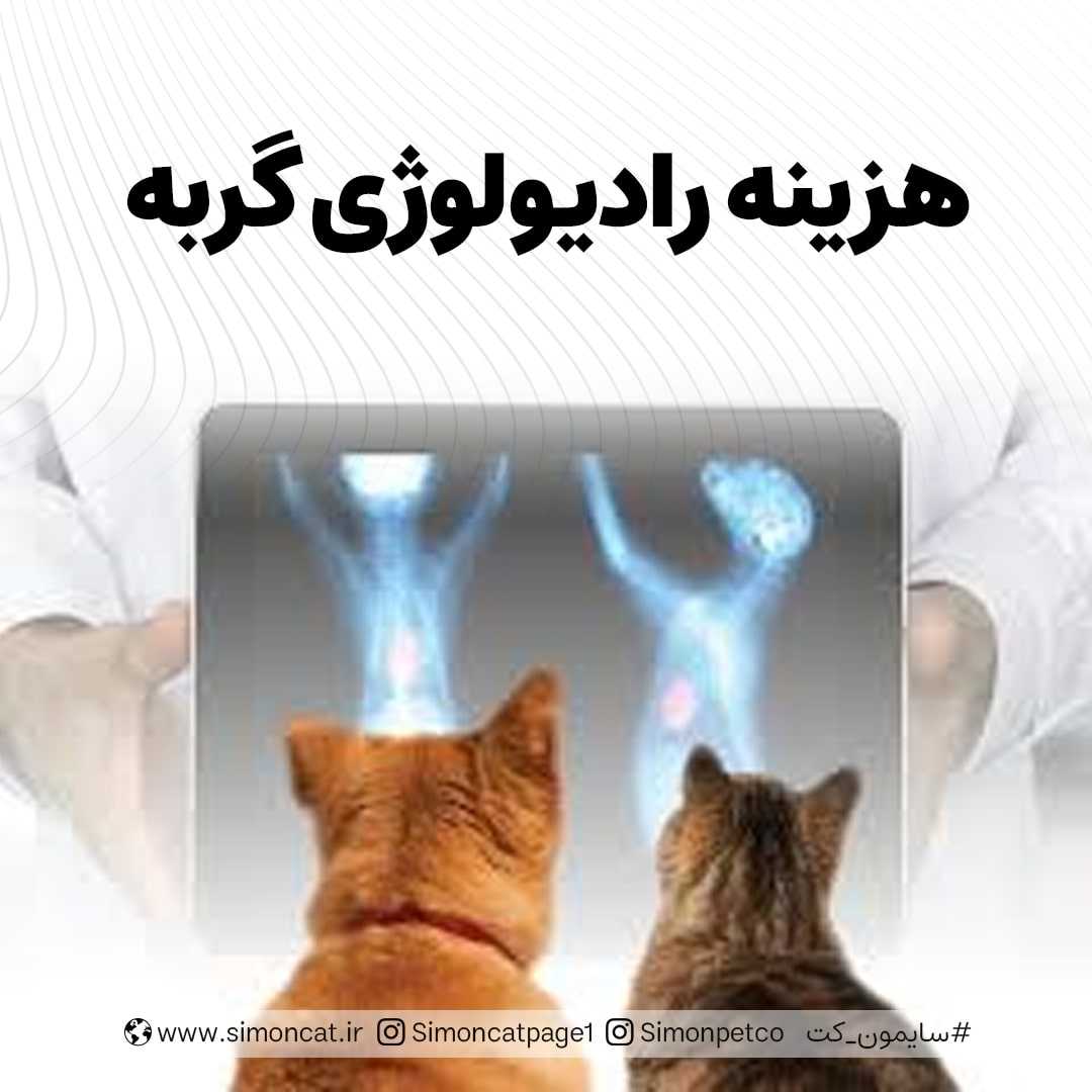عکس هزینه رادیولوژی گربه